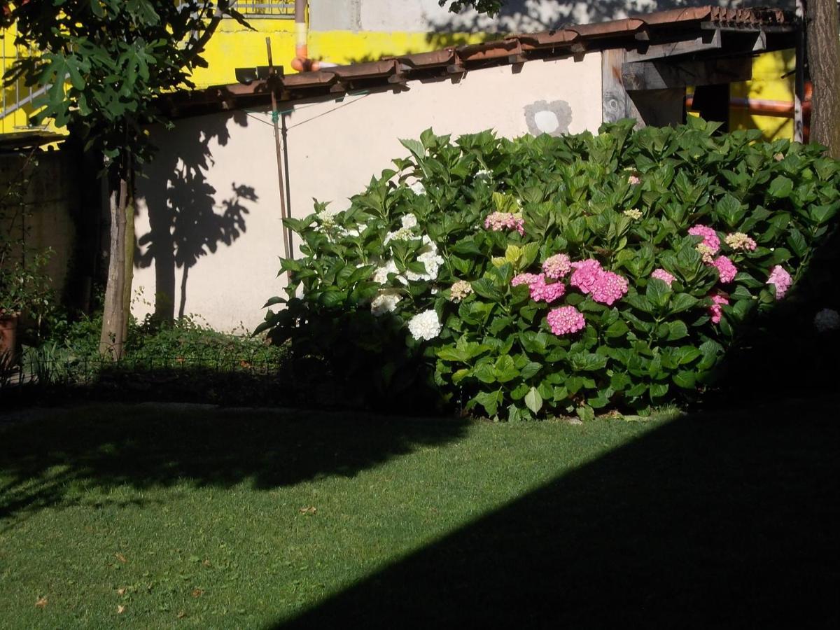 菲尼斯Les Hirondelles住宿加早餐旅馆 外观 照片